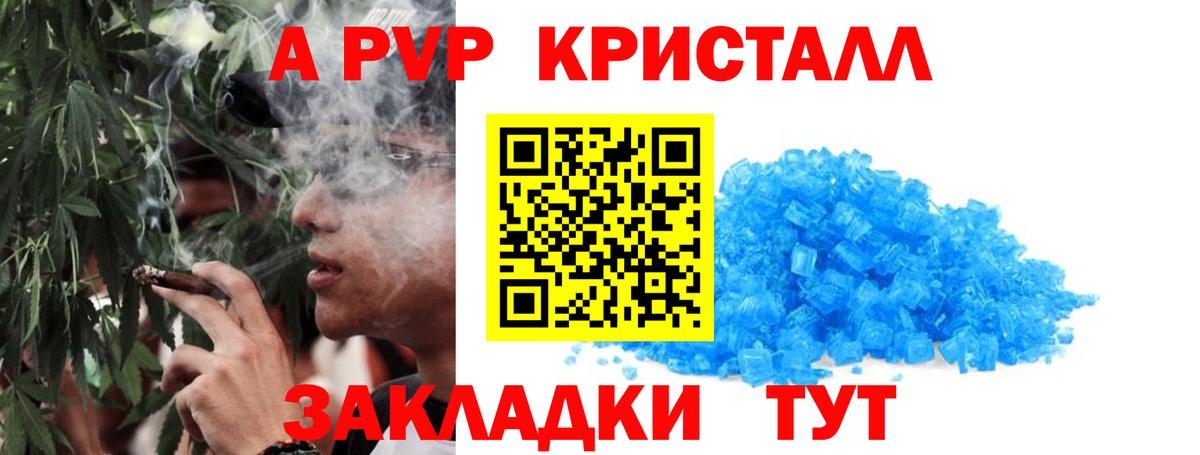 Альфа ПВП СК Волхов
