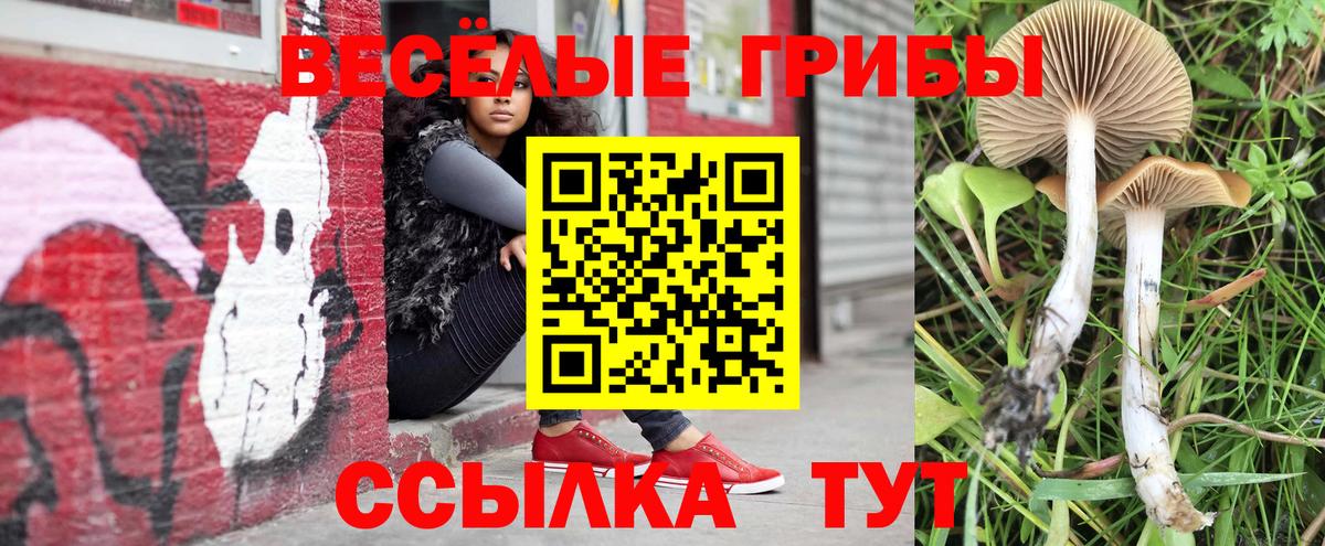 Псилоцибиновые грибы Magic Shrooms  Вход с VPN  Волхов 