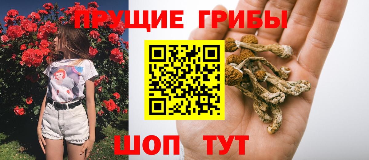Галлюциногенные грибы мухоморы Волхов