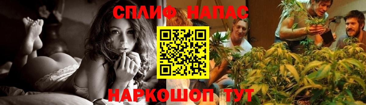 Марихуана план  Канабис ГИДРОПОН  Вход с VPN  Волхов  Каннабис THC 21% 